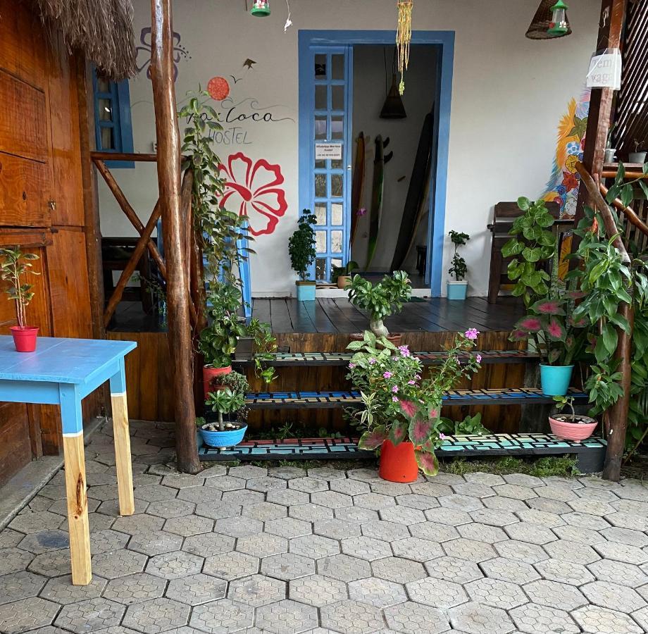 Aurora Hostel Praia de Pipa Kültér fotó