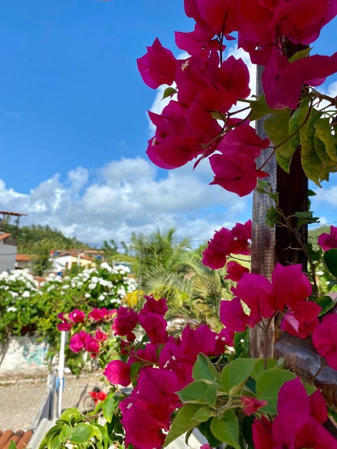 Aurora Hostel Praia de Pipa Kültér fotó